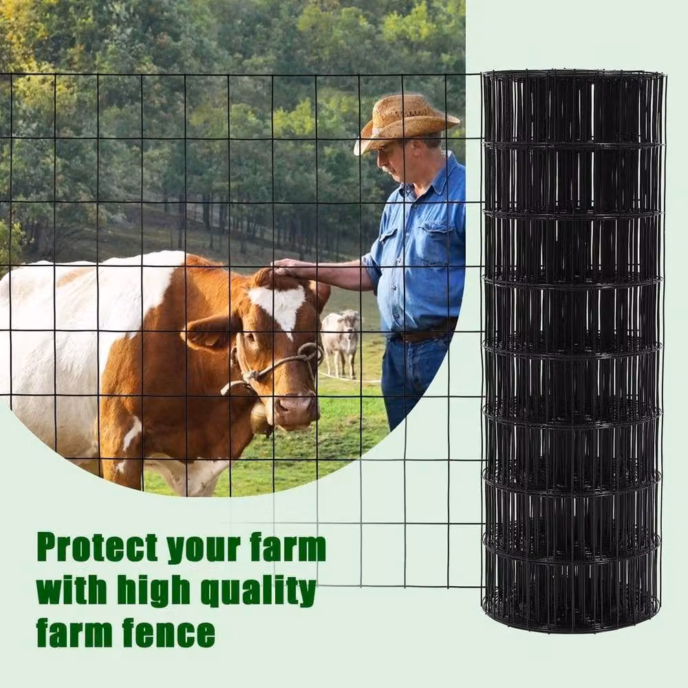 SPETLEK Galvanised Welded Wire Mesh Black Fence for Aviaries and Rabbits W: 100 cm, H: 60 cm – 4