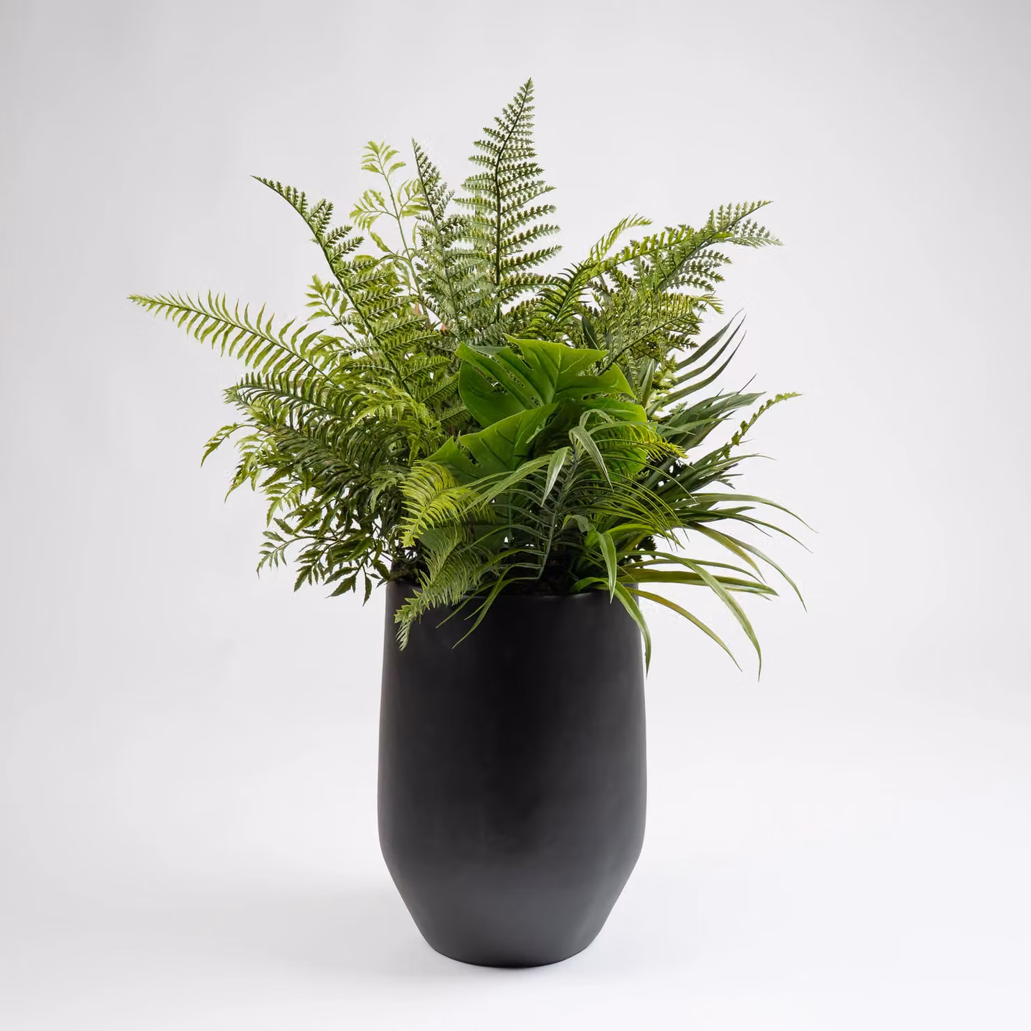 Scottish Everlastings Ltd Mixed Fern Potted Plant in Black Container, Green, Height: 102 cm – 3
