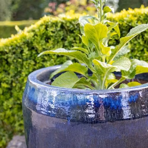 Primrose Blue Mix Round High Gloss Garden Planter, Diameter: 57 cm – 2