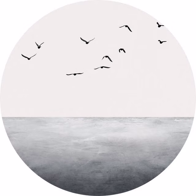 Open Sea Scape Minimalist White Wall Mural with Birds