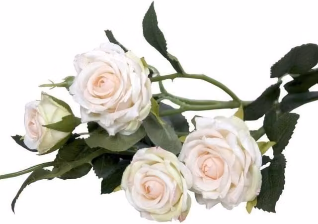 KDMD Camelot Garden Rose Spray in White, 2 Pack – 1