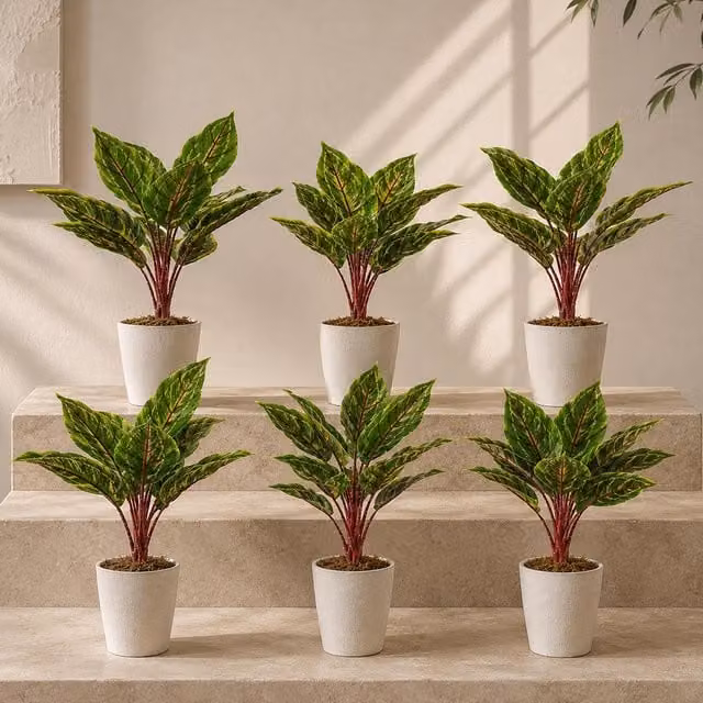 Pack of 6 Green Artificial Potted Calathea Veitchiane, Height: 38 cm