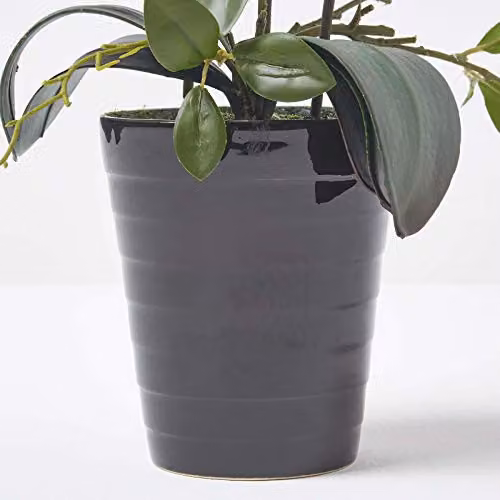 Homescapes Artificial White Phalaenopsis Orchid in Black Ceramic Pot, Height: 56 cm – 2