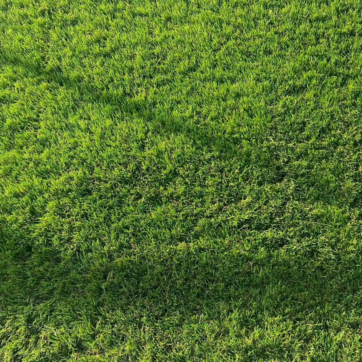 Artificial Grass GB Cadiz 40mm Artificial Grass in Green – 6