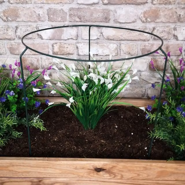 Tom Chambers Urban Metal Herbaceous Garden Plant Support Ring, Green, W: 40 cm, H: 60 cm