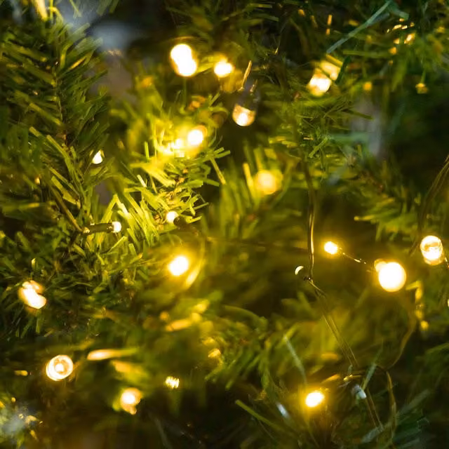 Voltico 50 LED Solar String Lights in Gold with 3 Colour Options