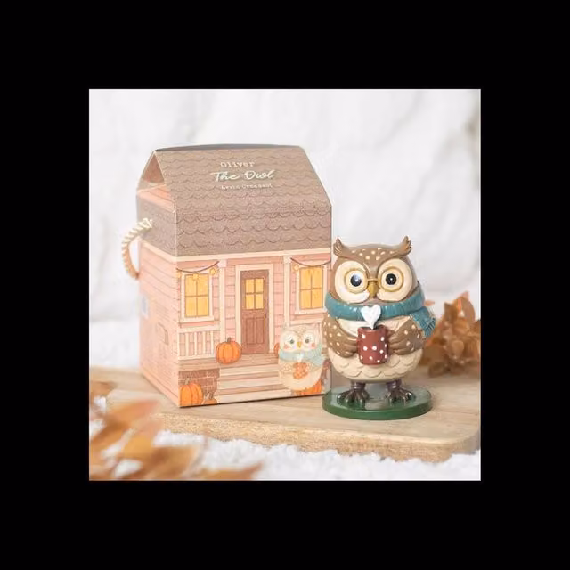 KDMD Oliver Owl Multicolour Resin Tabletop Ornament – 1