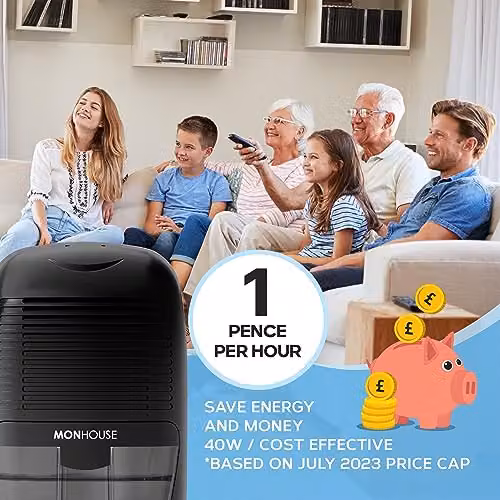 MONHOUSE Portable Compact Quiet Mini Air Dehumidifier and Electric Mould Remover, Black – 6