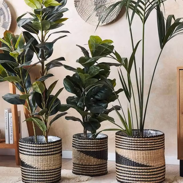 Wyld and Coco Boho Seagrass Plant Basket Set of 3, Handwoven Round Tabletop Planters in Beige and Sand