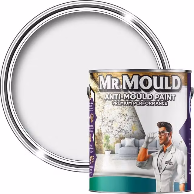 MR MOULD Anti-Mould Paint for Interior Walls and Ceilings, Light Grey, 5L – 1