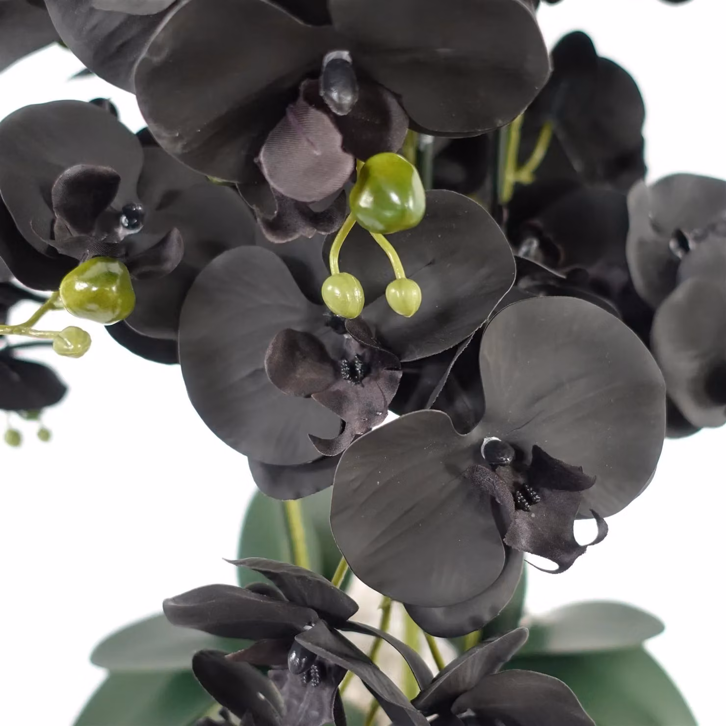 Leaf Design UK Realistic Artificial Orchid Flower Display in a Green Ceramic Planter, H 60 cm x W 40 cm x D 40 cm – 2