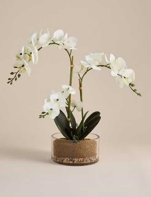 M&S Large White Artificial Orchid in a Glass Pot