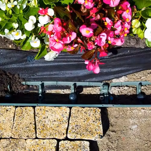 Primrose Pack of 10 Black Flexible Plastic Garden Lawn Edging Strips with Included Pins, 10m – 2