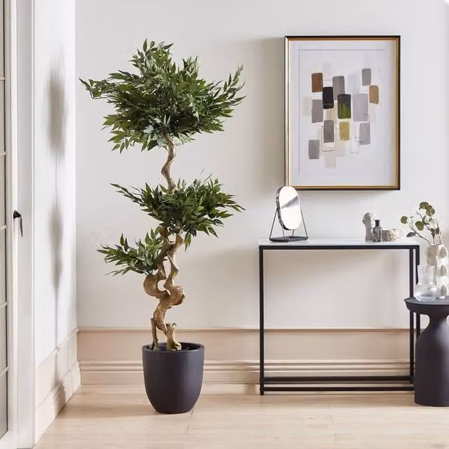 Wyld and Coco Artificial Potted Ruscus Tree, Green with Concrete Base, Height: 166 cm
