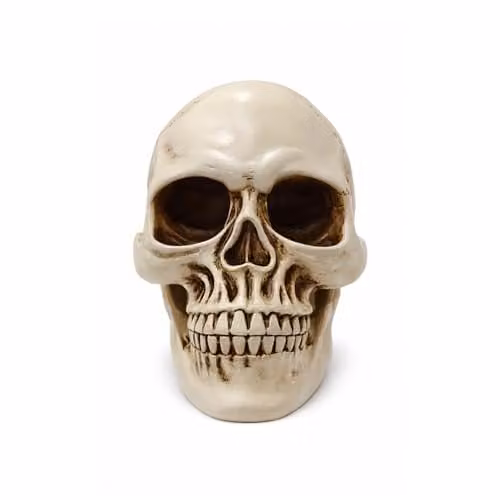 Voltico Realistic Resin Human Skull Ornament in Beige, W/D/H: 15.0 x 12.5 x 12.5 cm