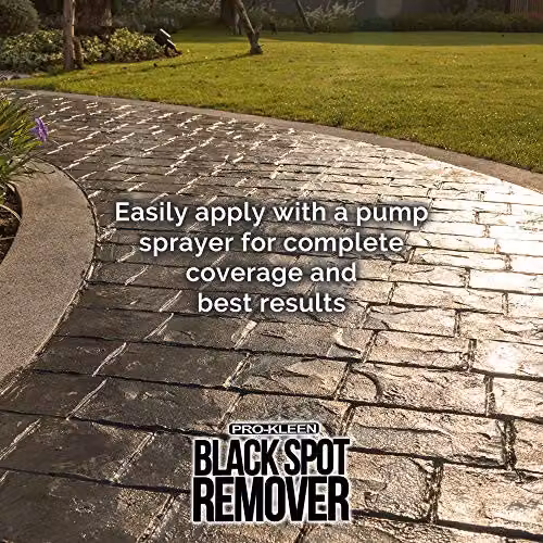 Pro-Kleen Powerful Black Spot Remover for Patios and Driveways, Blue, 5.5 l – 5