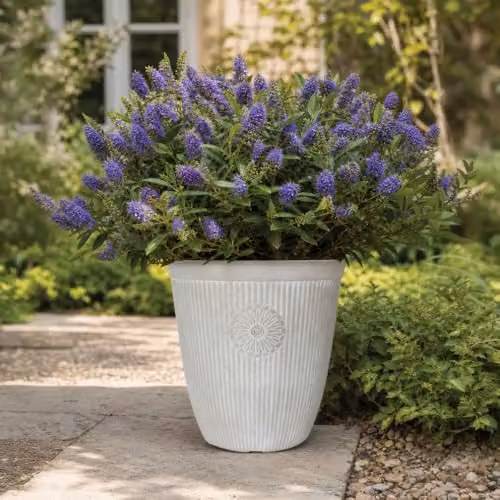 YouGarden Somerville Tall Pebble White and Grey Plastic Planter Tub, Height: 33 cm, Width: 33 cm – 2