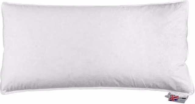 Homescapes Duck Feather Euro Continental Pillow, White, W/D/H: 80 x 40 x 0 cm