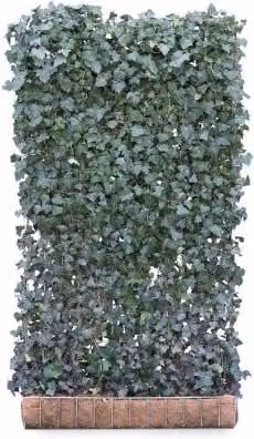 Mobilane Hedera Helix Artificial Hedging Screen, Green, W: 120 cm, H: 220 cm