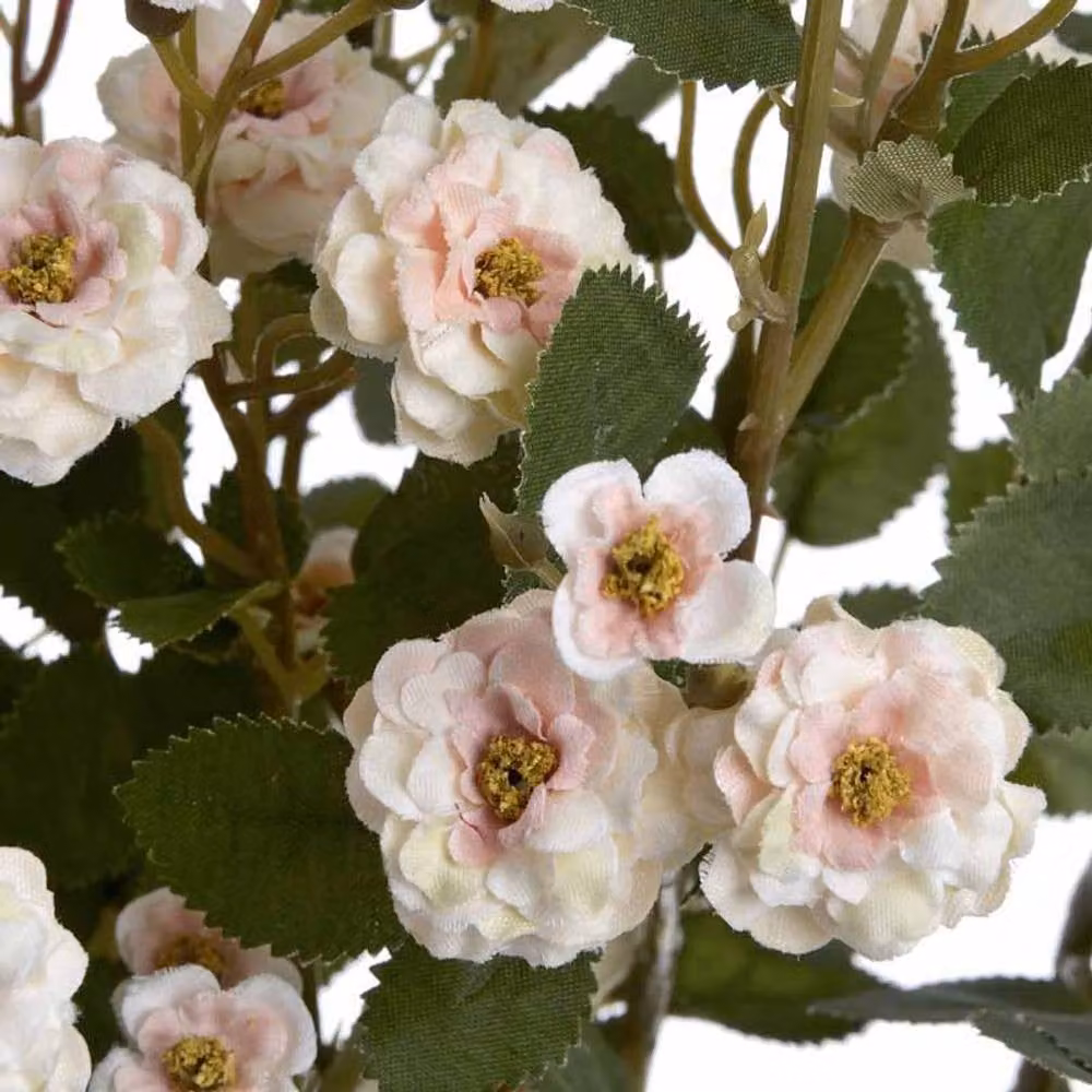 Lemon Pavilion Wild Meadow Rose Artificial Flower in Beige, W15 x D15 x H74 cm – 3