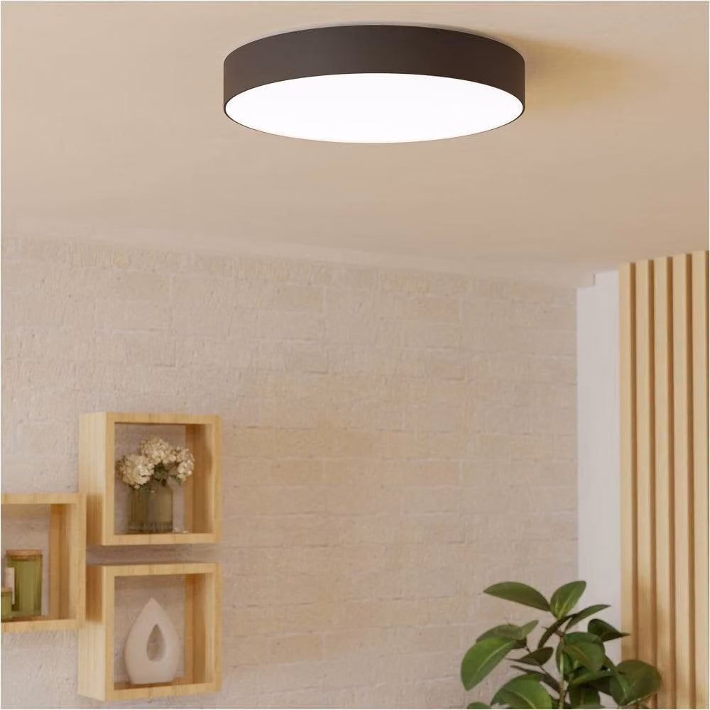 Loops 2 Pack Modern Round Black LED Ceiling Lights with Bulbs Included – 2