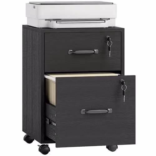 HOMCOM Rolling File Cabinet with 2 Drawers and Castors, Black