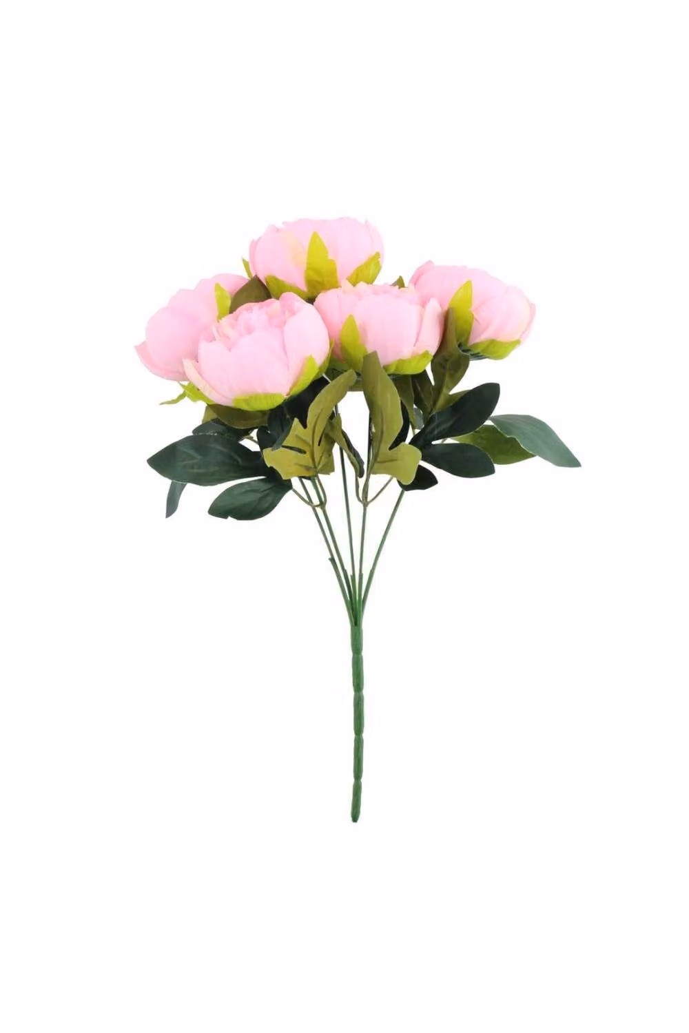 KDMD Pink Arundel Peony Bush 2 Pack – 3