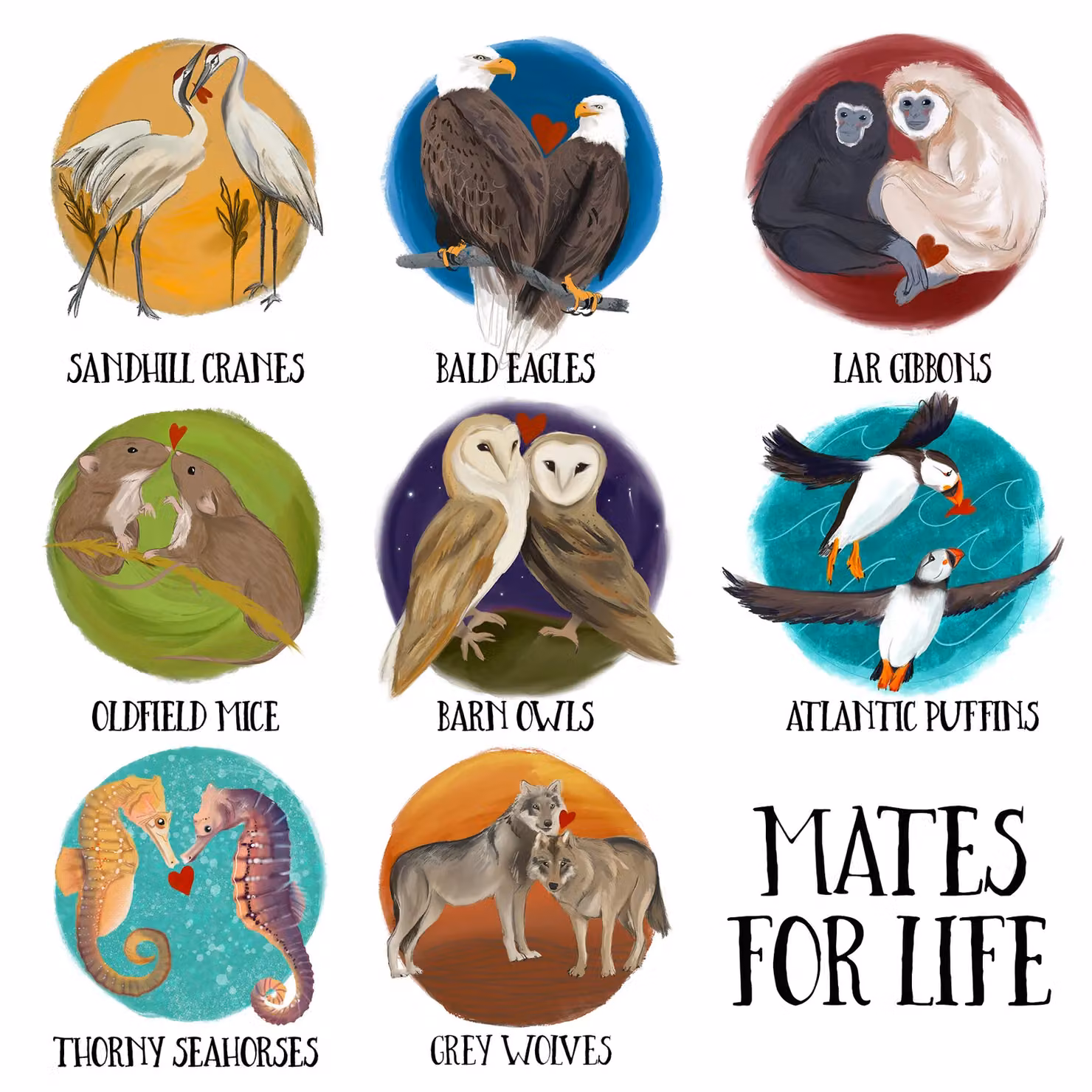 Afewhometruths Mates for Life Barn Owls Love Cushion, Off-White, W x H: 40 x 40 cm – 2