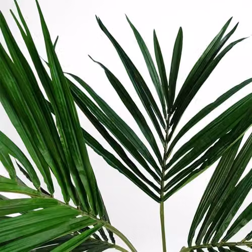 Botanik Green Artificial Palm Tree, H 120 cm x W 90 cm x D 90 cm – 3