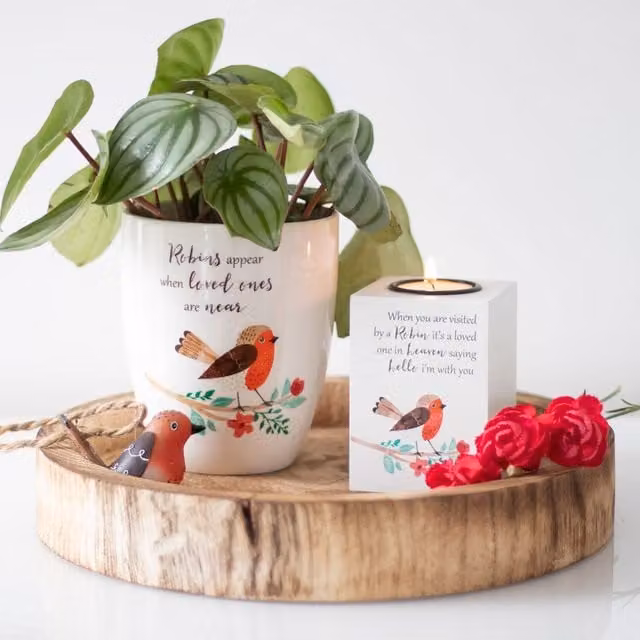 Gloriously Good Round Ceramic Floral Tabletop Plant Pot - White