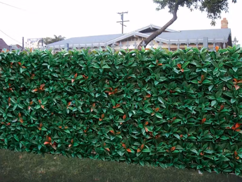 Primrose Green American Beech Artificial Hedge Panels, Pack of 2, W/H: 50 x 50 cm – 4