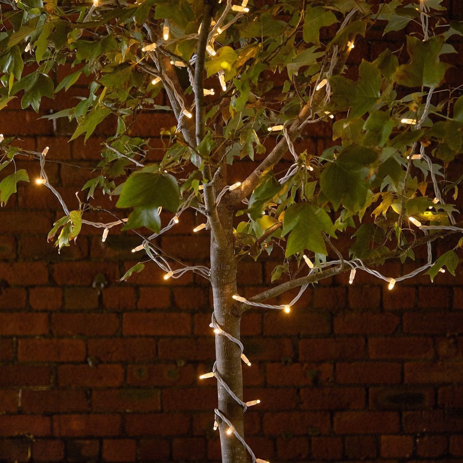 Pro Connect 130m Connectable LED String Lights with 1300 Warm White Bulbs and White Cable
