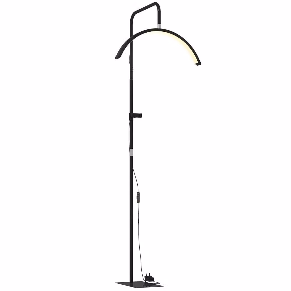 Wyld Haus Elma Black Half Moon Floor Lamp with Rotating Dimmable Head and Phone Holder – 2