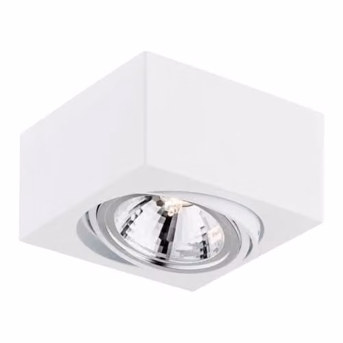 Netlighting Rodos Adjustable Surface Mounted Downlight in White and Wood