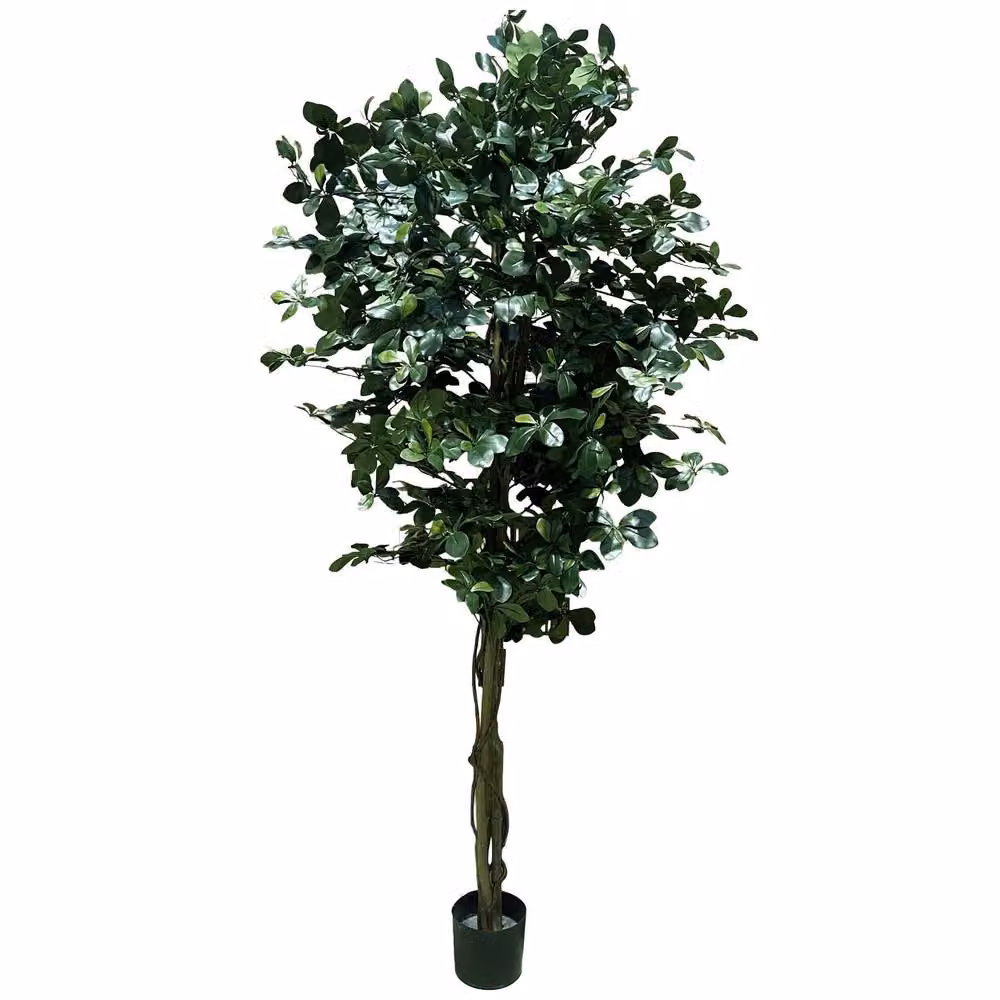 Botanik Leaf 180cm Artificial Fire Retardant Black Olive Tree in Green – 3