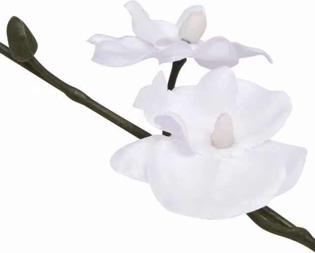Berkfield Home White Artificial Potted Orchid Plant, Height: 30 cm