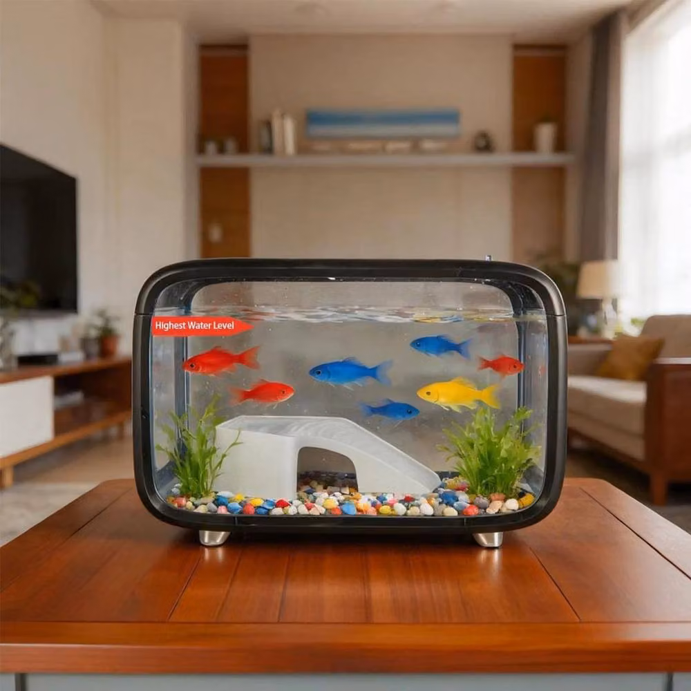 PAWNORA Compact Betta Fish Tank Kit Transparent Desktop Aquarium, Width: 40 cm, Depth: 40 cm – 6