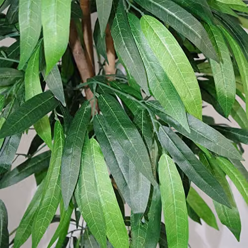 Leaf Design UK Artificial Mango Tree, Green, Height: 120 cm – 2