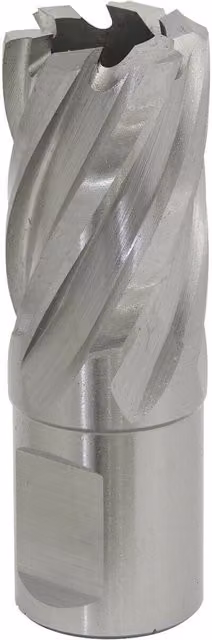 Loops Rotabor M2 Steel Annular Metal Core Drill Cutter, Silver, 21 mm Diameter, 25 mm Depth, 19 mm Shank – 1