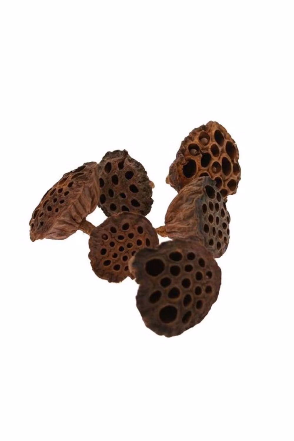 KDMD Large Brown Lotus Heads Christmas Ornament with Floral Pendant – 2
