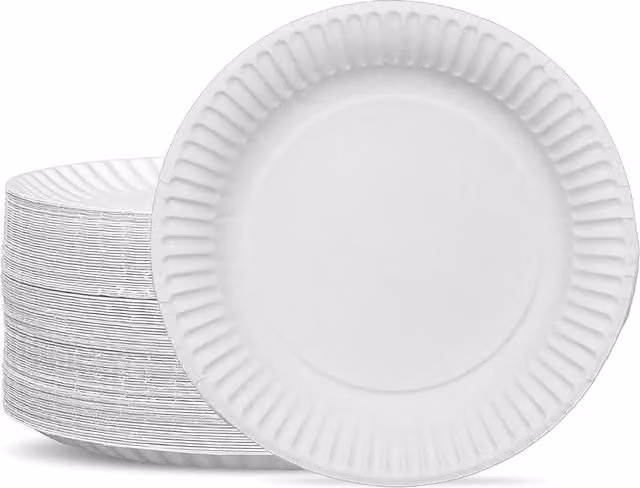 ECONX Disposable White Paper Party Plates, 23 cm
