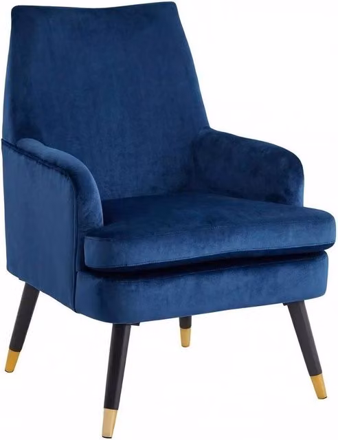 Havendro Blue Velvet Padded Accent Armchair with Gold Tips – 1