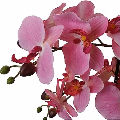 Leaf Design UK Pink Artificial Orchid with Glass Planter, Height: 50 cm – 1