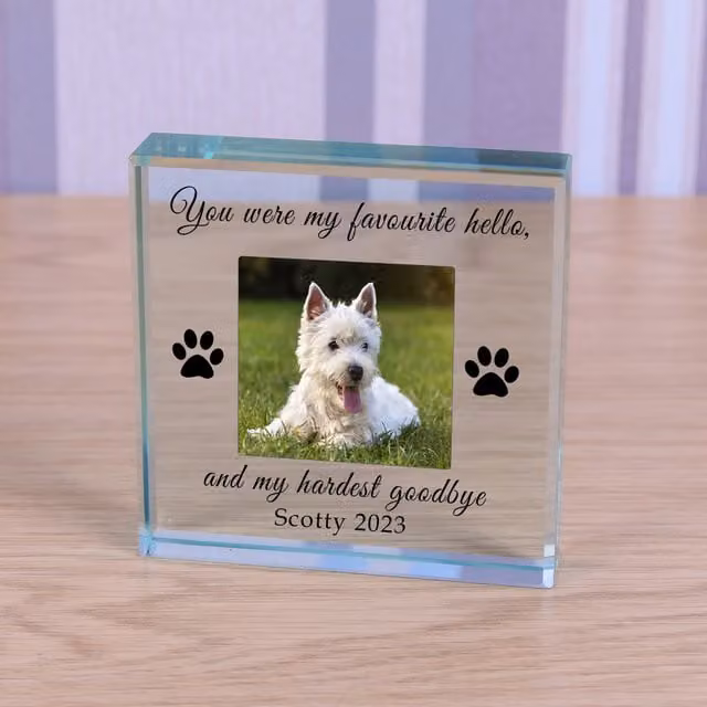 Uniqueful Personalised Favourite Hello Pet Memory Glass Token in Transparent and Beige
