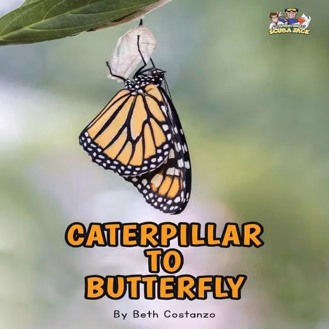 Beth Costanzo Letter C - Caterpillar to Butterfly for Kids 3-8 Paperback Book by Majestic Learning Publishers, Multicolour