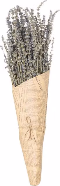 KDMK Organic Dried Lavender Bunch for Rustic Tabletop Decor in Purple and Brown