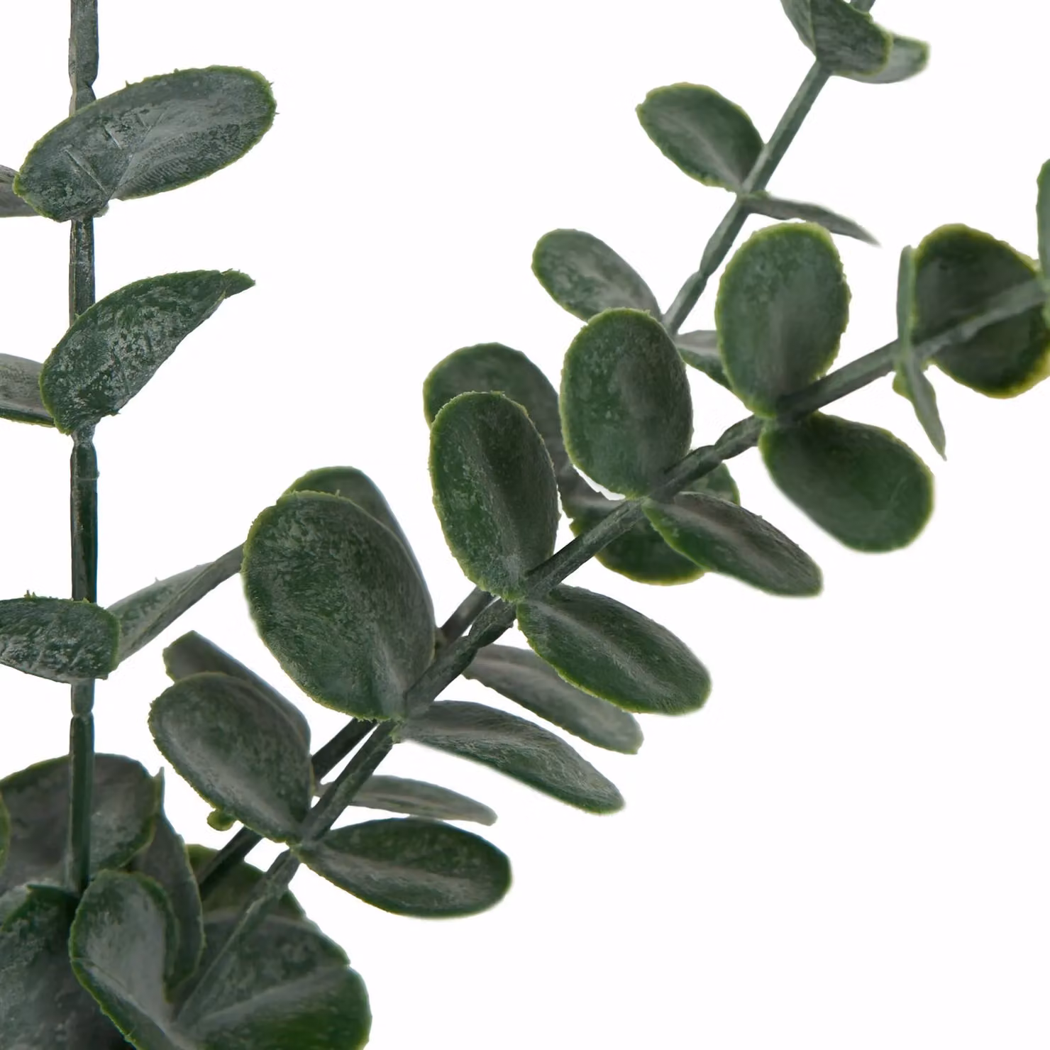 OHS Artificial Green Eucalyptus in a Beige Ceramic Vase for Tabletop Decoration – 4