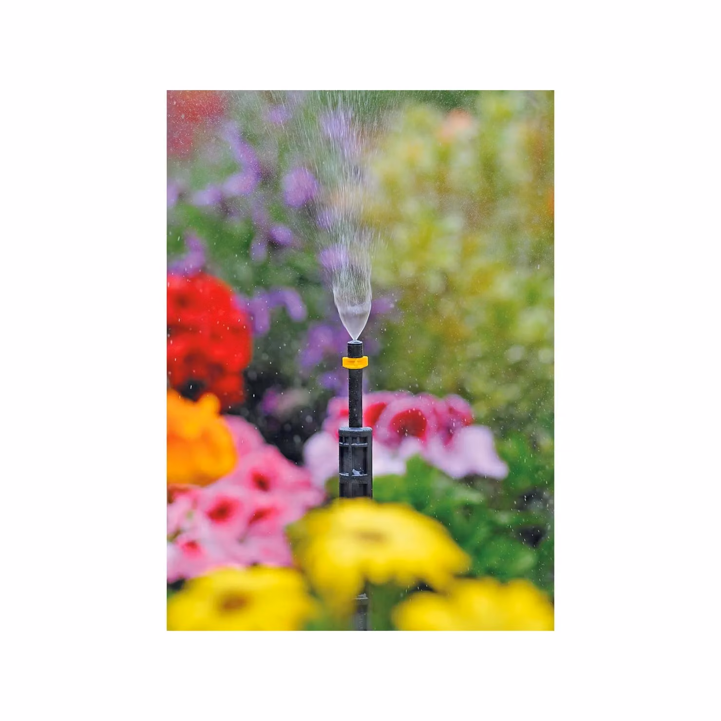 Hozelock 2797 Mist Micro Spray Jet, 12 Pack, Multicolour and Black Plastic – 2