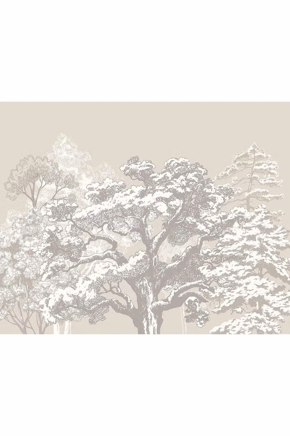 Origin Murals Etched Trees Wall Mural in Grey, W: 300 cm, H: 240 cm – 2