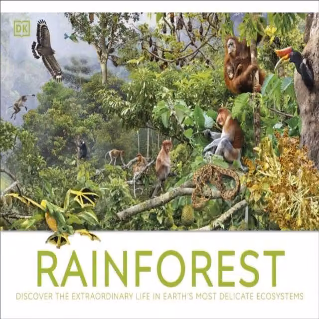 DK Rainforest Hardback Book, Multicolour